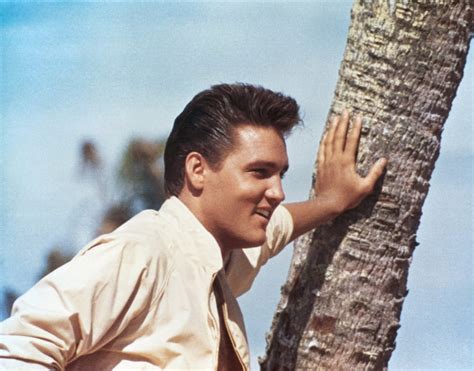 1962 elvis presley movie|movie follow that dream 1962.